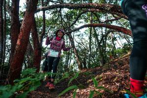 BIB: 
                            <button type="button" onclick="openModal(26345601)" class="btn btn-primary btn-sm float-right btn-popup" data-toggle="modal" data-target=".modal-high-quality">
                        <i class="fas fa-shopping-cart"></i> Add to Cart
                    </button>
                                            <button type="button" onclick="isThisMe(26345601, true)" class="btn btn-success btn-sm float-right btn-popup btn-isme hidden" data-toggle="tooltip" data-placement="bottom" title="นี่คือรูปของคุณใช่ไหม คลิกที่นี่เพื่อเอาเข้าอัลบั้ม">
                        <i class="fas fa-plus"></i> Add to album
                    </button>
                    <button type="button" onclick="isThisMe(26345601, false)" class="btn btn-warning btn-sm float-right btn-popup btn-isnotme hidden">
                        <i class="fas fa-ban"></i> Remove from album
                    </button>